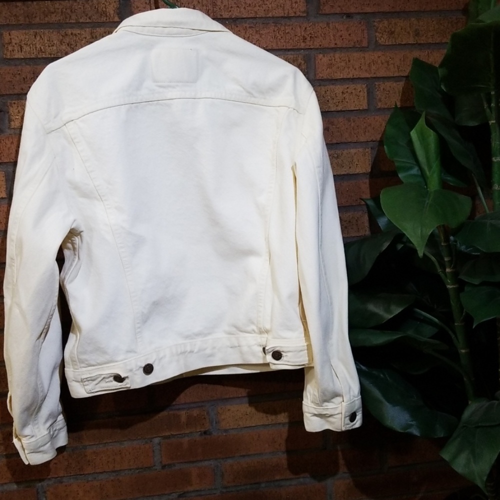 Calvin Klein - Jacket - Picture 5 of 5